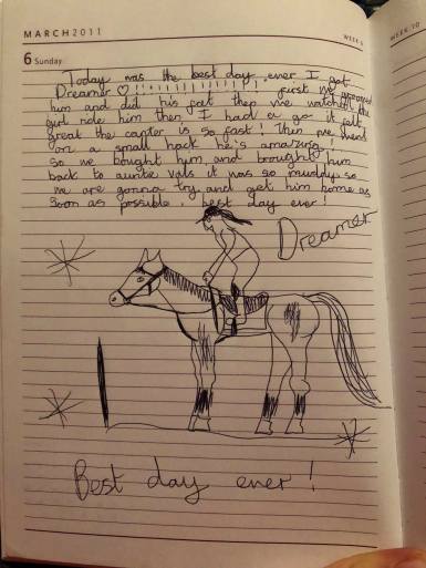 44328557_329108311188824_2091223235734536192_n